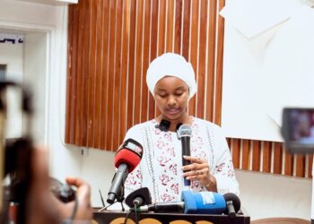 Présentation du rapport biannuel du CJFLG (18 décembre 2025)